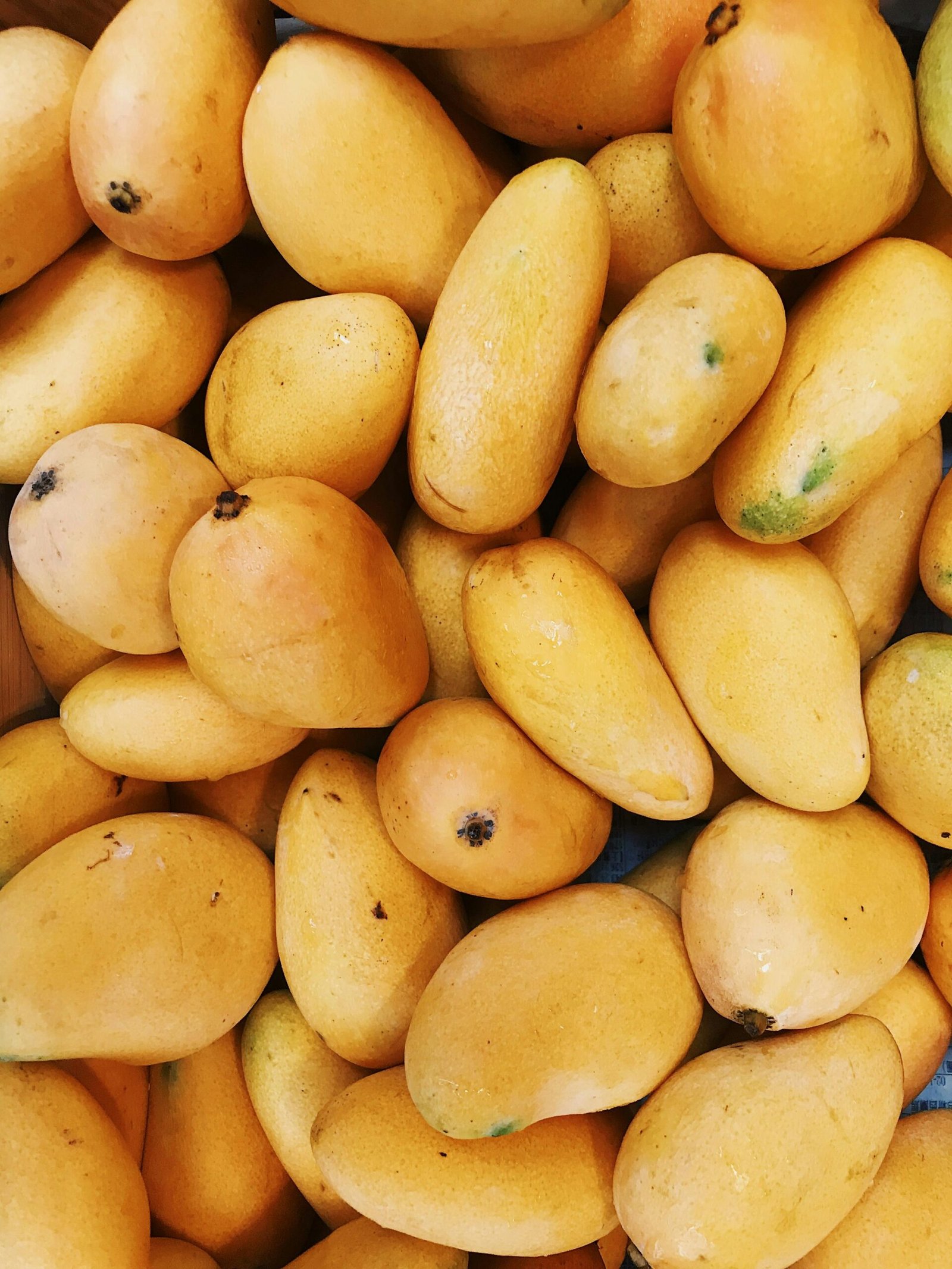 Meta’s New AI Models Mango and Avocado: What Fruity Codenames Mean for Your Future Feed