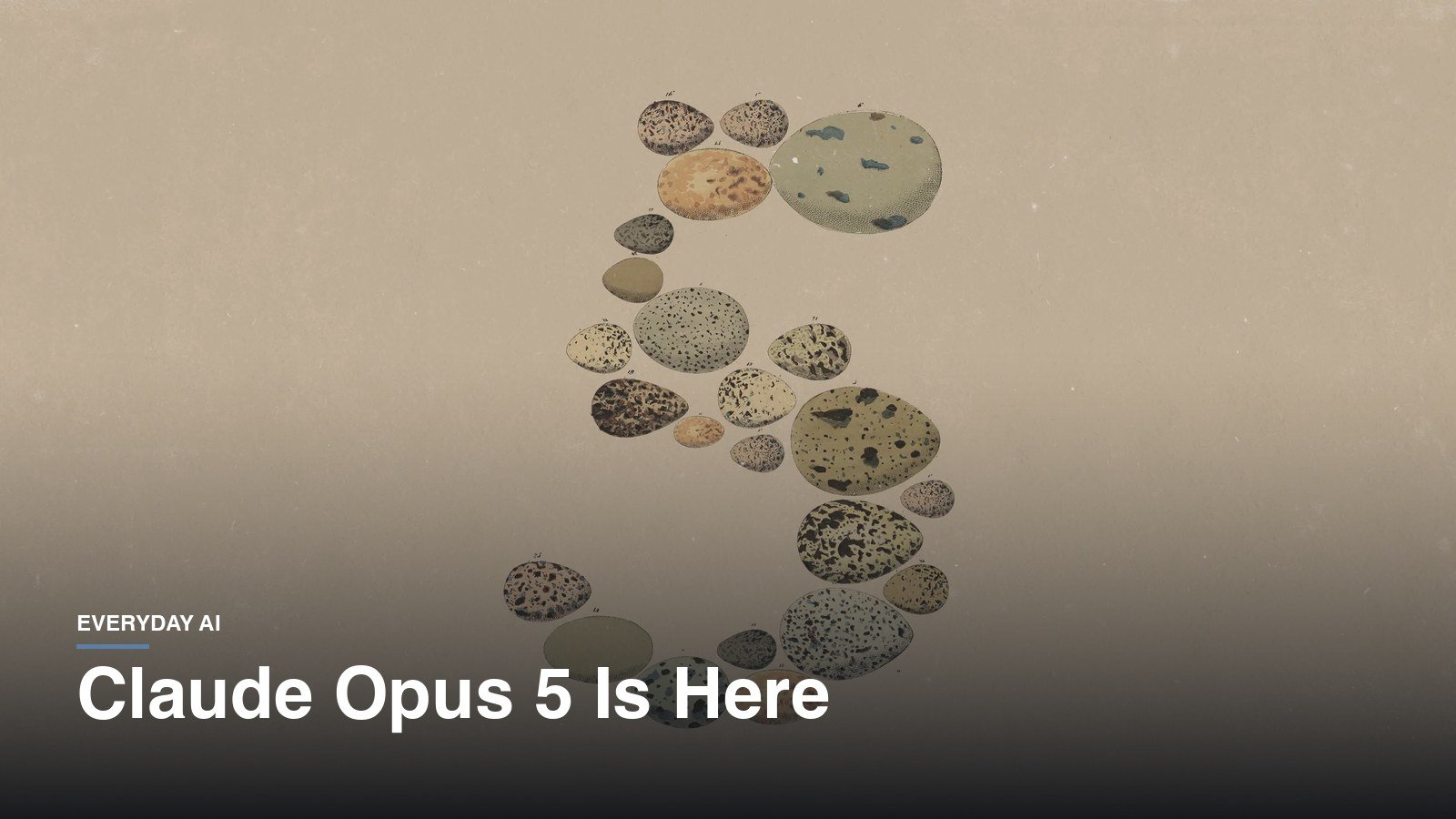 Claude Opus 5: Anthropic's Powerful New Model at Half the Price 4 Claude Opus 5: Anthropic’s Powerful New Model at Half the Price