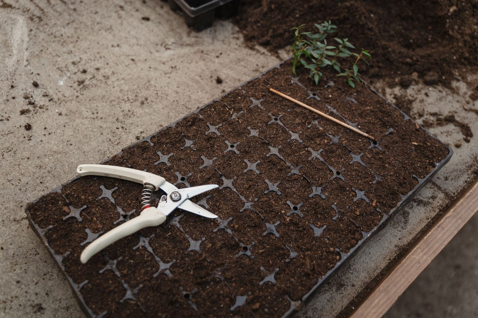 Gardening tools beside a soil-filled seedling tray, the kind of starter kit a Meta Hatch AI agent could price out for you