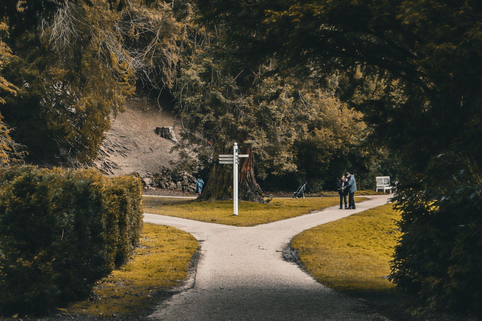 A forked path with a signpost, like picking between Suno and Udio